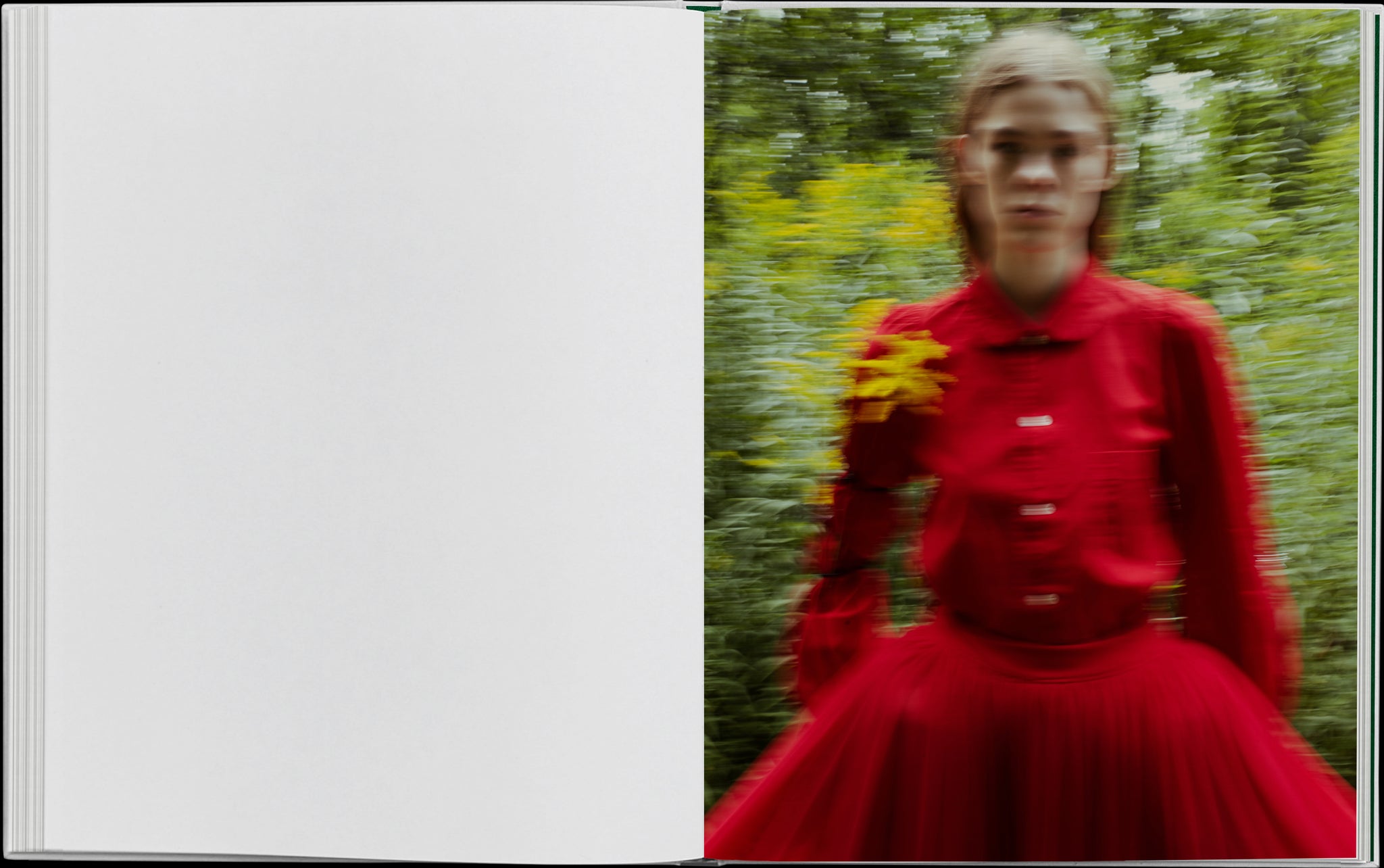 Book layout. Right: Blurred image of a girl in a red dress.